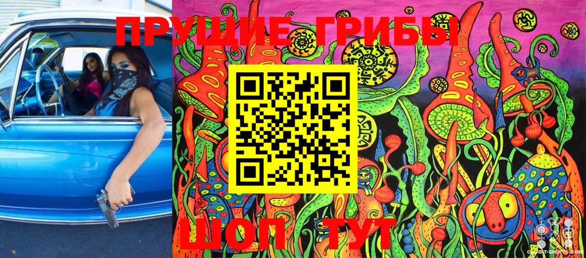 Псилоцибиновые грибы Psilocybe Верхний Уфалей