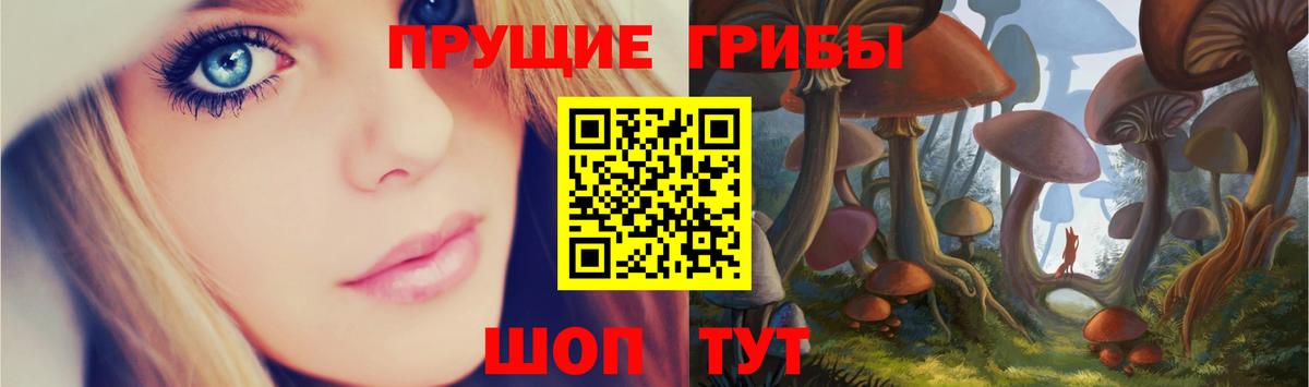 Галлюциногенные грибы Psilocybe  Вход с VPN  Верхний Уфалей 